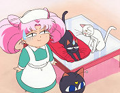 Nurse Chibi Usa and the Kitties