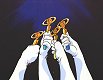 Sailor Senshi Unite!