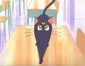 Luna Tells Usagi To Transform