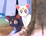 Luna and Artemis Spy on Minako