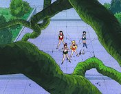 The Inner Senshi and Kitties are Dwarfed by the Makaiju